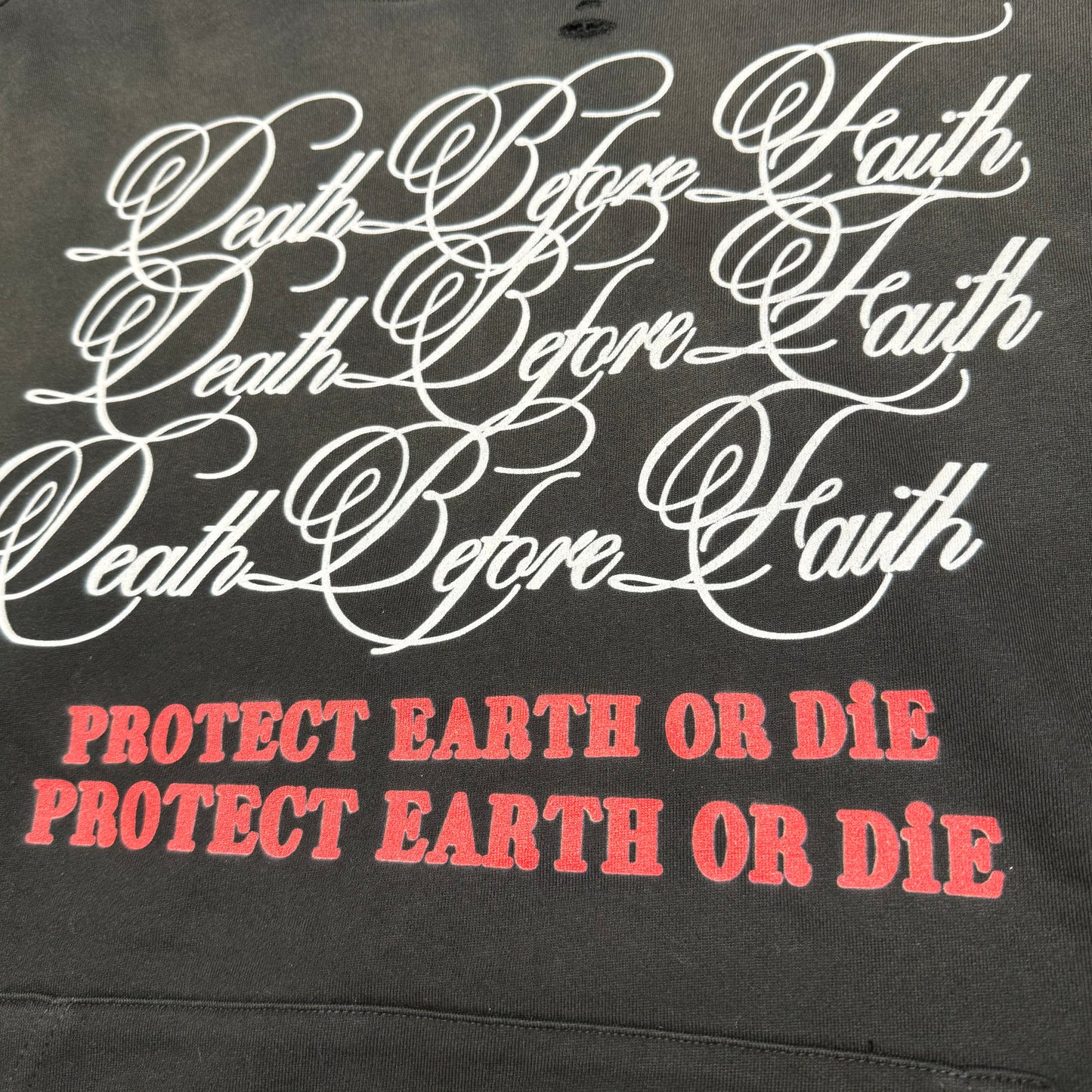 Protect Earth or Die- Hoodie